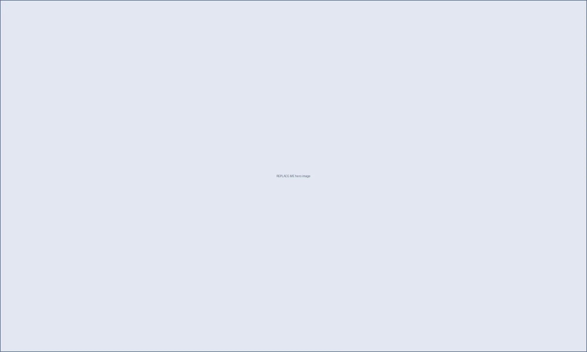 REPLACE-ME — describe this photo plainly